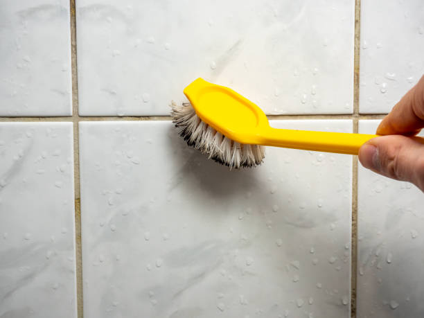 Best Mold Remediation  in Felton, CA