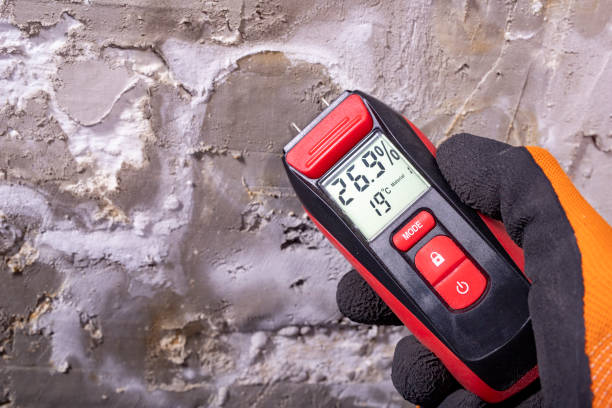 Best Mold Removal Near Me  in Felton, CA