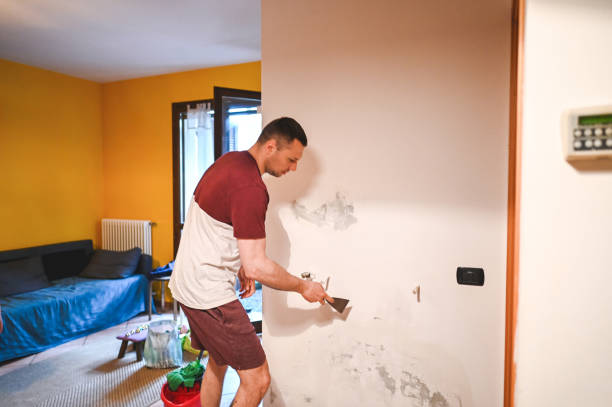 Best Office Mold Removal Services  in Felton, CA